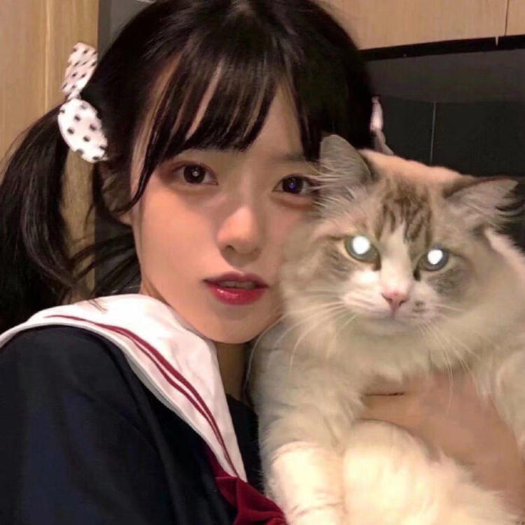 高本宣弘 - 猪蜜蜜电视剧大全在线观看11 - 网页看视频